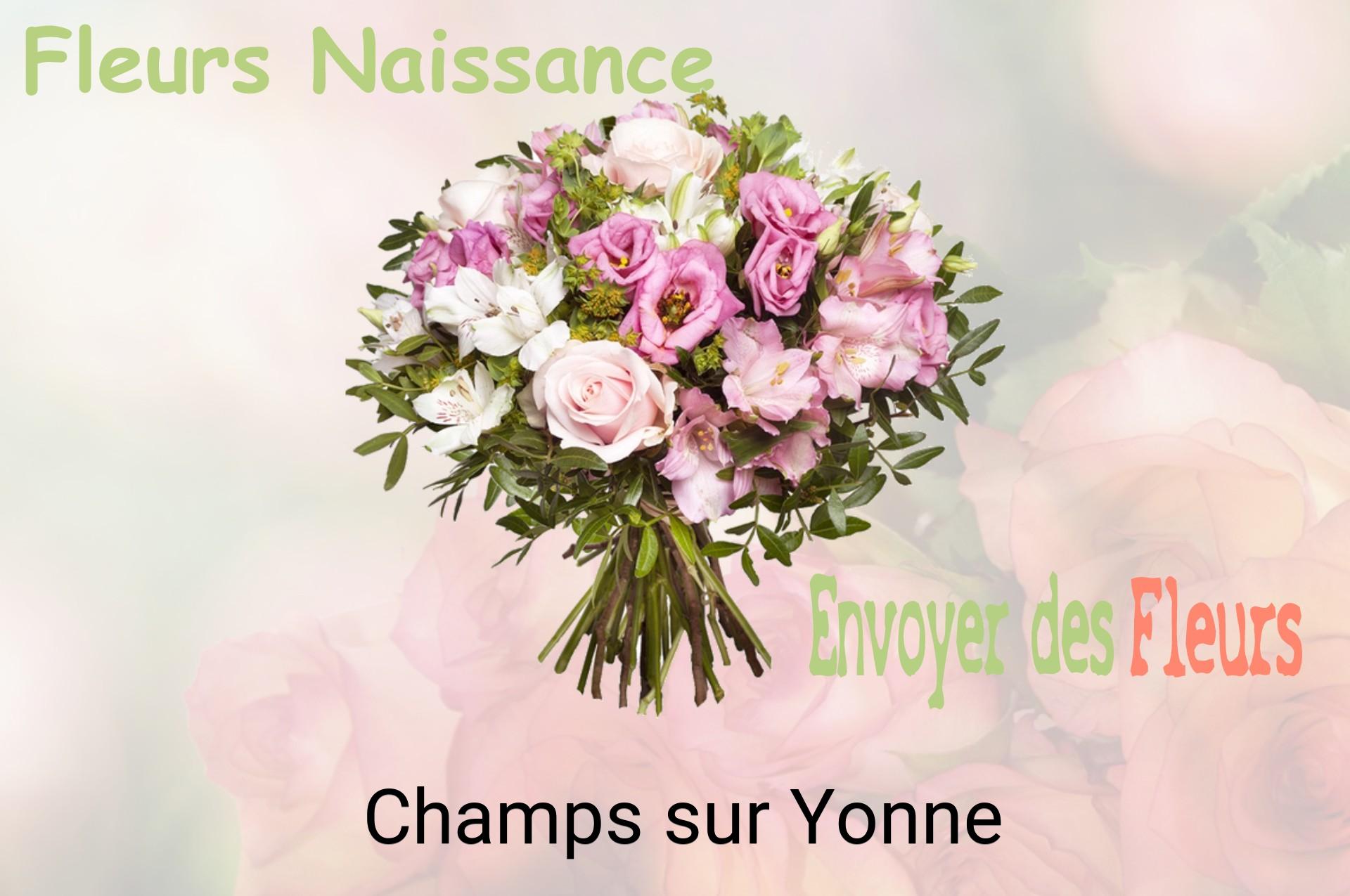 Bouquet de fleurs de naissance livré à Champs-sur-Yonne