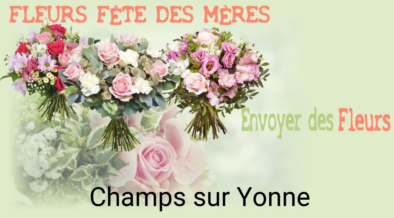 Bouquet de Fête des Mères livré à Champs-sur-Yonne